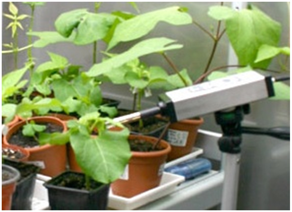 ET-LEDIF植物冠層葉綠素?zé)晒膺B續(xù)監(jiān)測(cè)系統(tǒng)