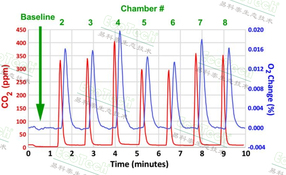 多通道昆蟲呼吸代謝測量系統(tǒng)