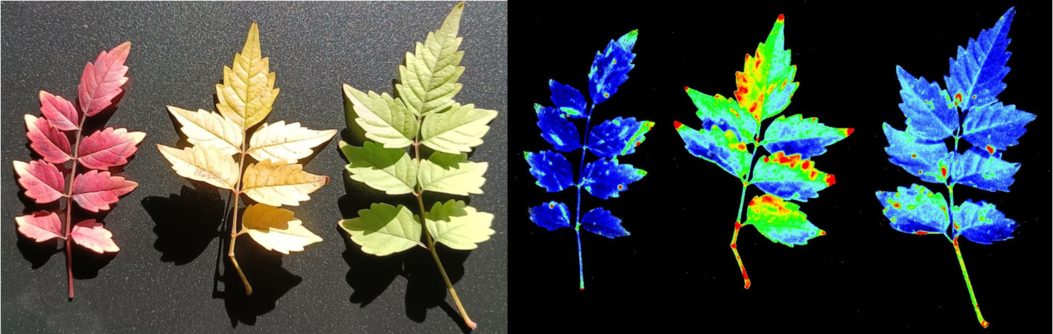 微信截圖_20230118095752.png 微信截圖_20230118095752.png