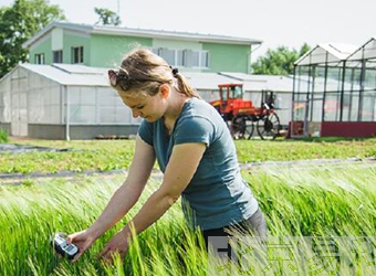 FP-leaf葉夾式植物光譜與葉綠素?zé)晒鉁y(cè)量包