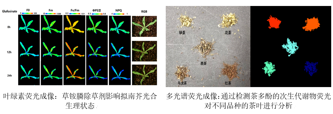 微信截圖_20221123111639.png 微信截圖_20221123111639.png