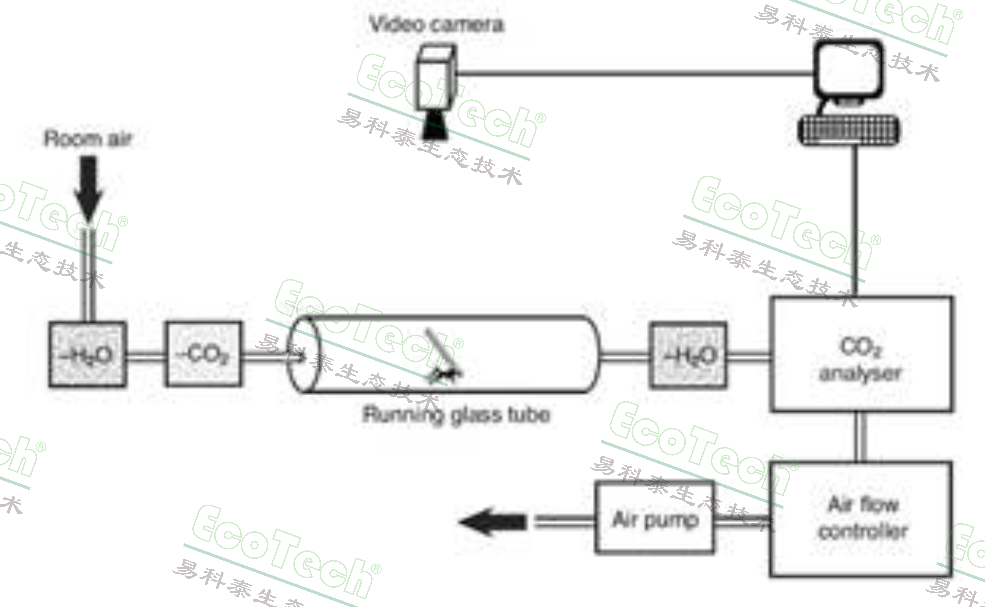 clip_image006.jpg Macintosh HD:Users:cqyu:Desktop:Ecotech-Suppliers:北美:Sablesys.com:Reference:昆蟲等無(wú)脊椎動(dòng)物:Ants:ant respirometry.jpg