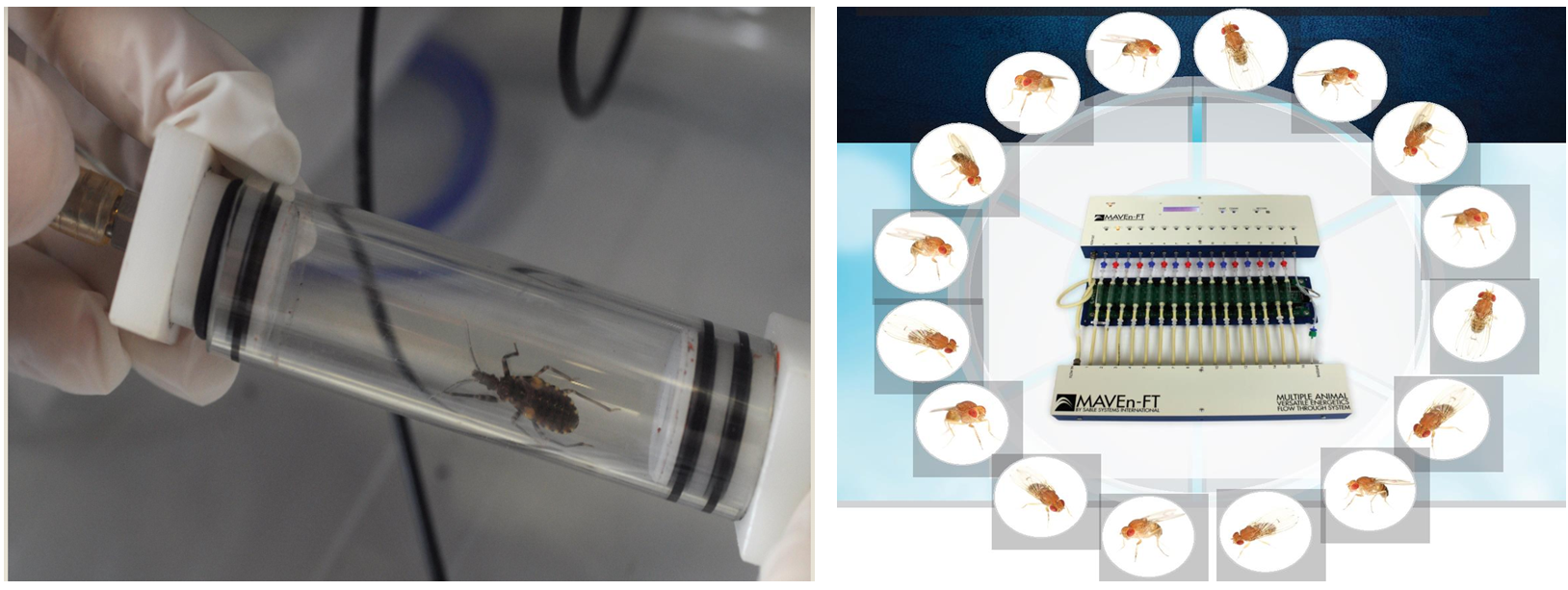 微信截圖_20220526093225.png 微信截圖_20220526093225.png