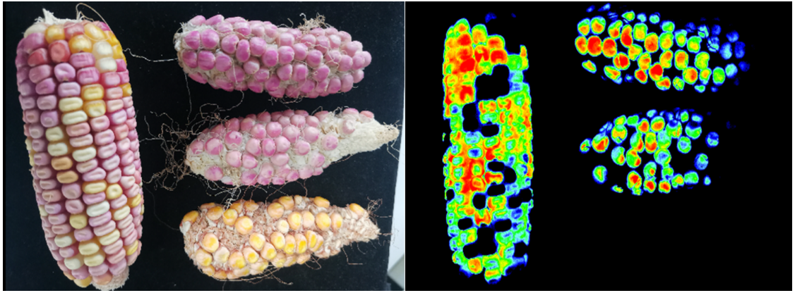 微信截圖_20221123111006.png 微信截圖_20221123111006.png