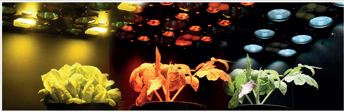 微信截圖_20221123111035.png 微信截圖_20221123111035.png