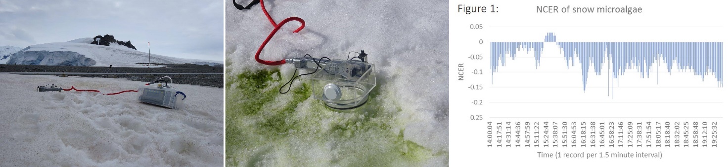 clip_image004.jpg clip_image004.jpg