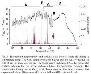 Macintosh HD:Users:cqyu:Desktop:Ecotech-Suppliers:北美:Sablesys.com:Reference:昆蟲(chóng)等無(wú)脊椎動(dòng)物:果蠅呼吸:果蠅熱耐受性－sm.jpg