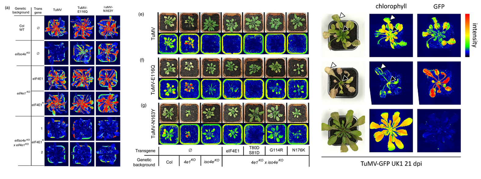 微信截圖_20221123111122.png 微信截圖_20221123111122.png