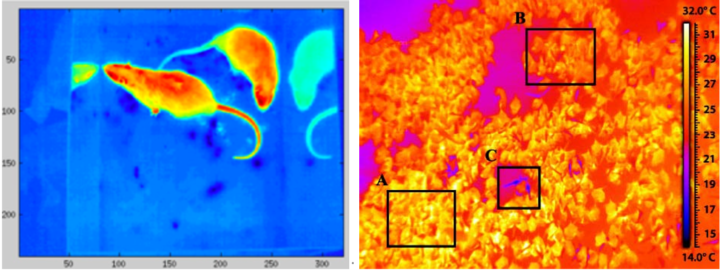 微信截圖_20220301145907.png 微信截圖_20220301145907.png