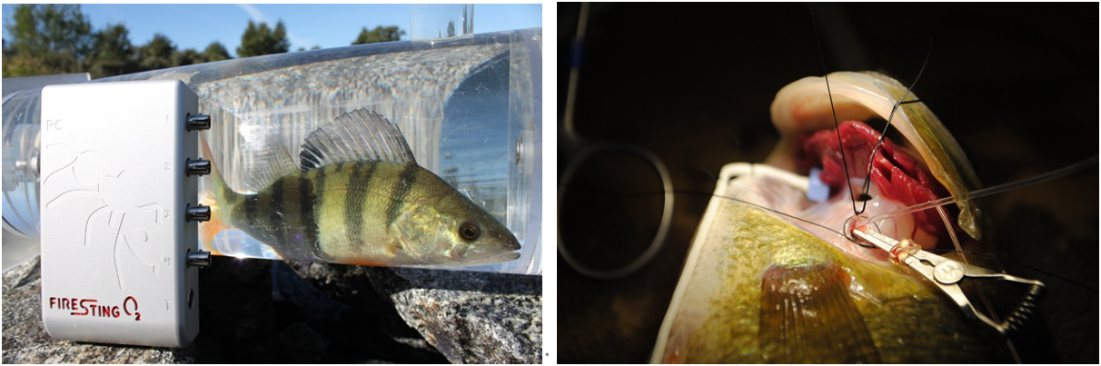 微信截圖_20220310114937.png 微信截圖_20220310114937.png