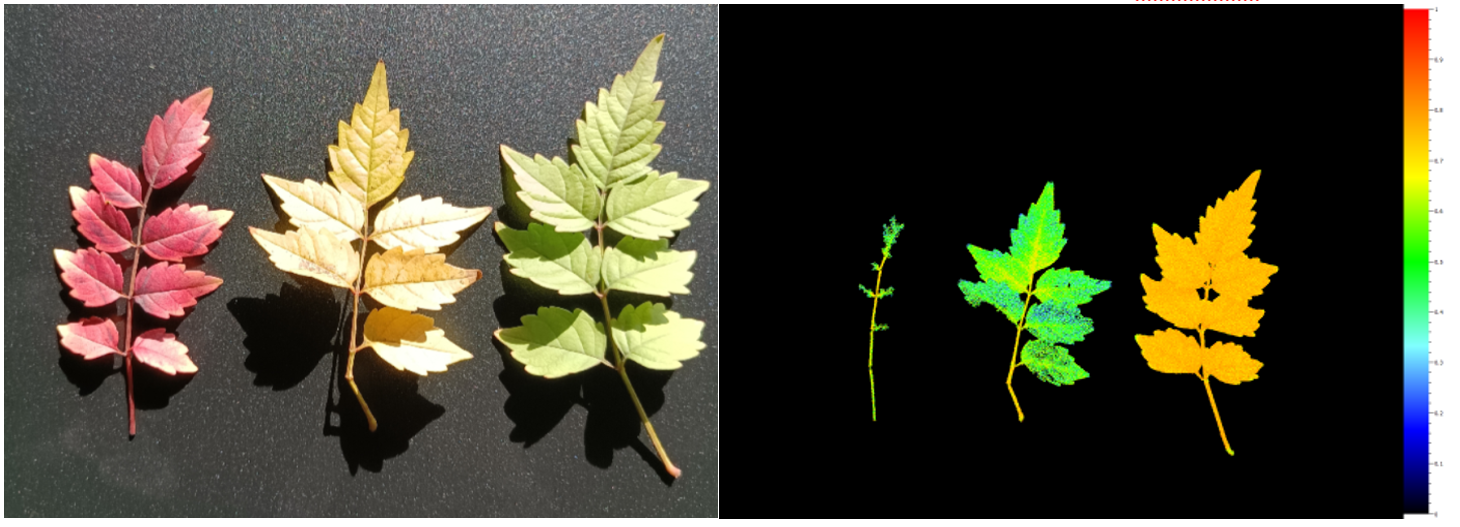 微信截圖_20221123111142.png 微信截圖_20221123111142.png