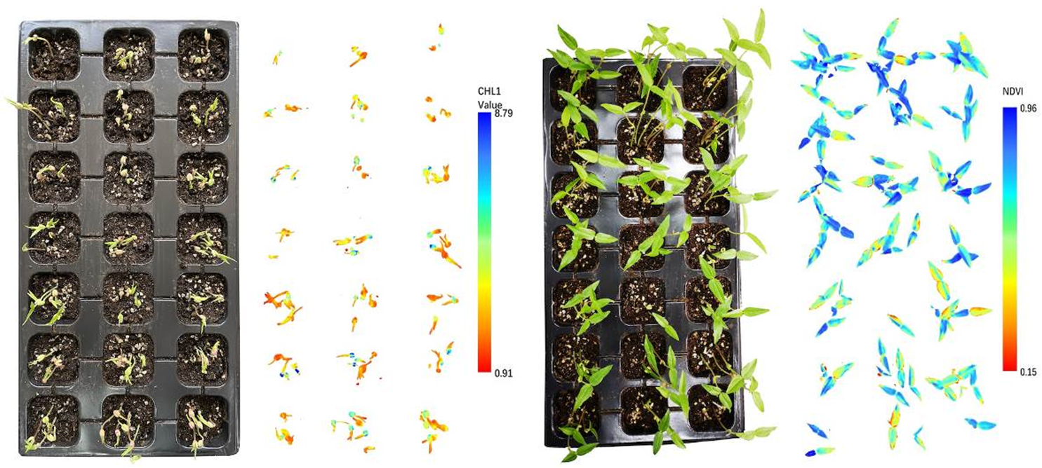 微信截圖_20220802165053.png 微信截圖_20220802165053.png